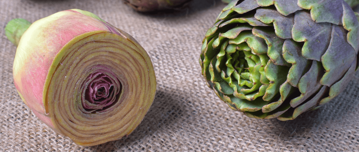 Al-Kanina Artichoke Factory