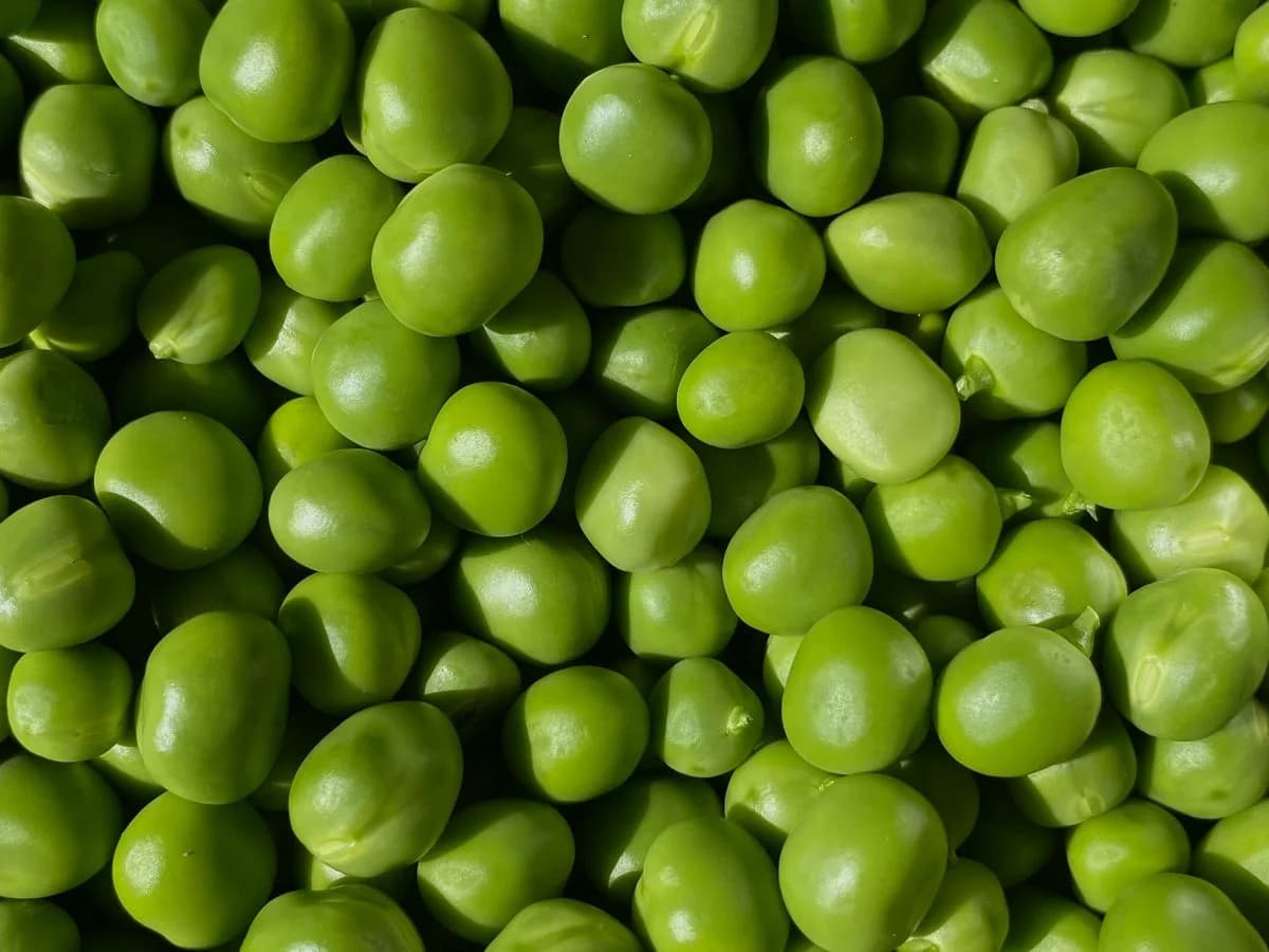 خضروات مونتانا المجمدة — Montana