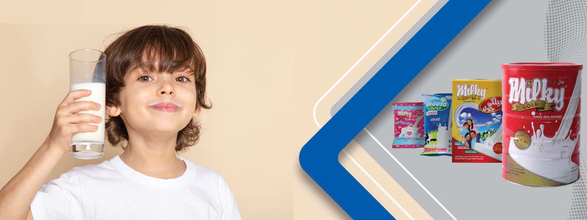 شركة إيه جي أي العالمية