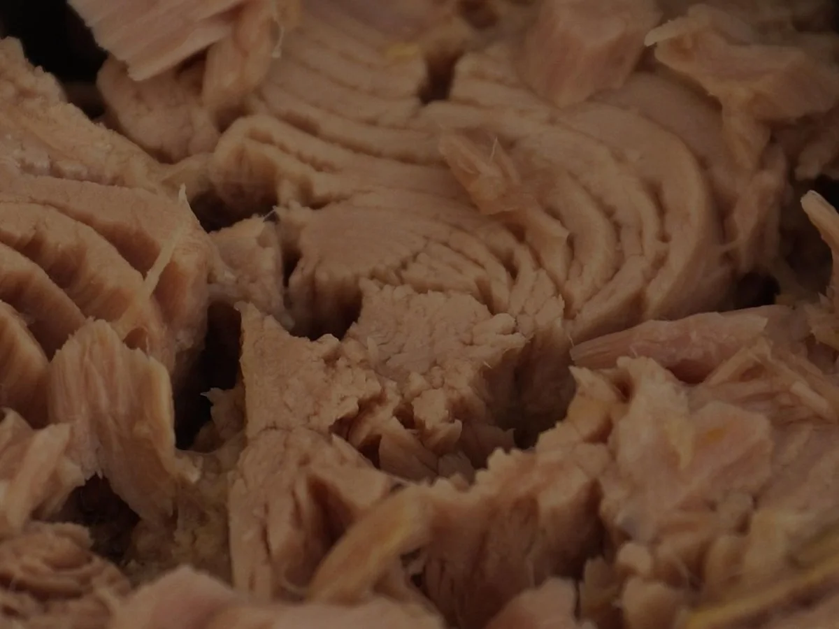تونة كالفو — Calvo