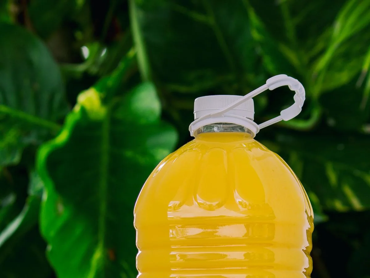Gardens Mango Aromalı İçecek