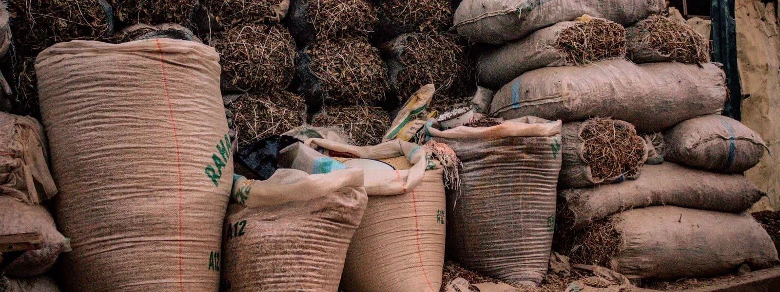 سبارتا للتجارة العامة (منطقة حرة)