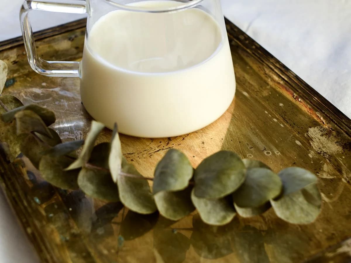 حليب البادية
