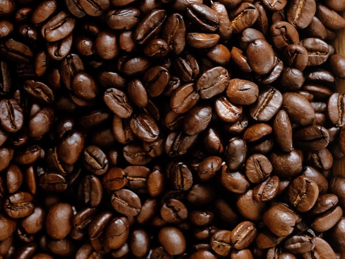 كبسولات قهوة لافاتسا — Lavazza