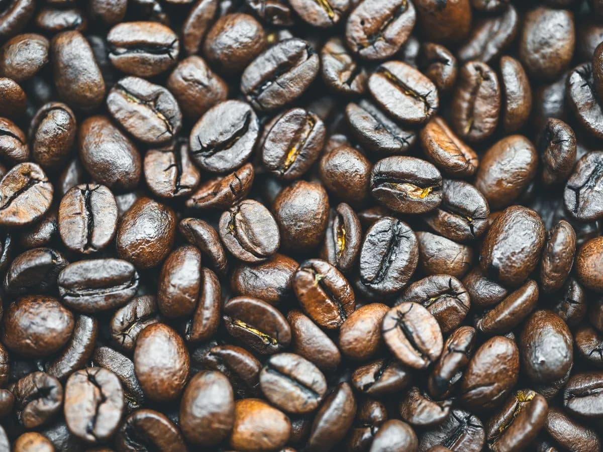 بُن لافاتسا حبوباً ومطحوناً — Lavazza