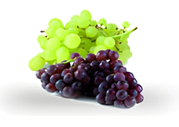 عنب طازج