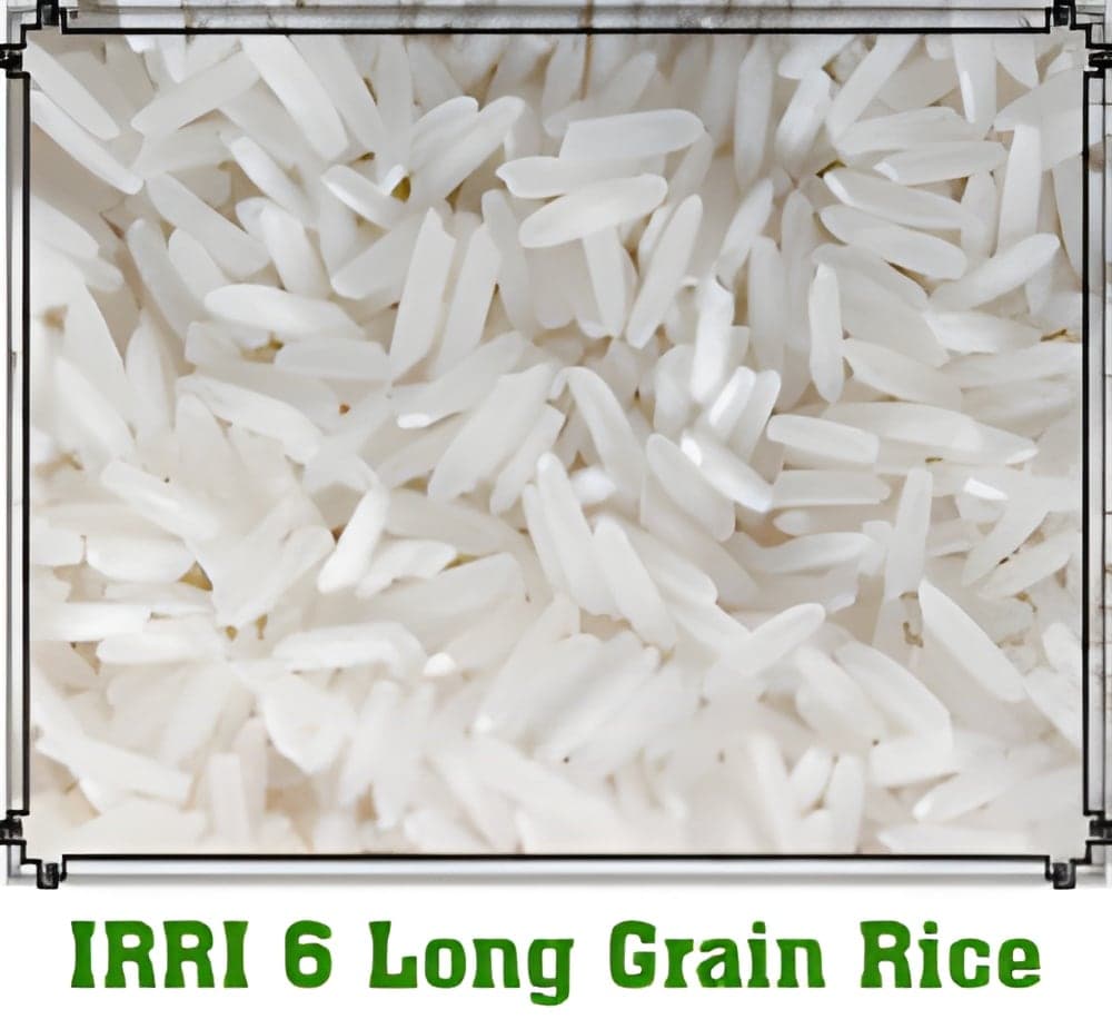 أرز IRRI-6 طويل الحبة — درجات تكسّر من 5% حتى 25%