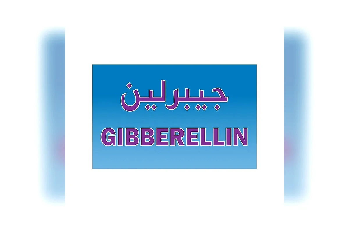 منظّم نمو نباتي جبريلين (Gibberellin)