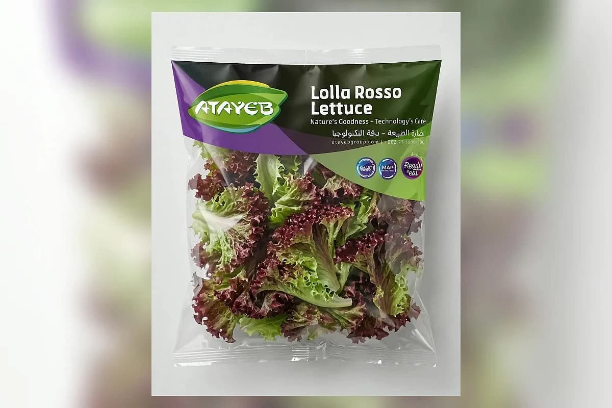 أوراق خس لولا روسو