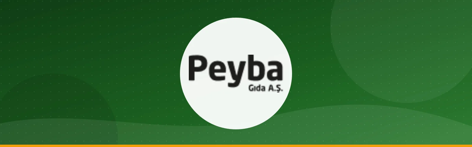 PEYBA FOOD INDUSTRY AND TRADE INC.