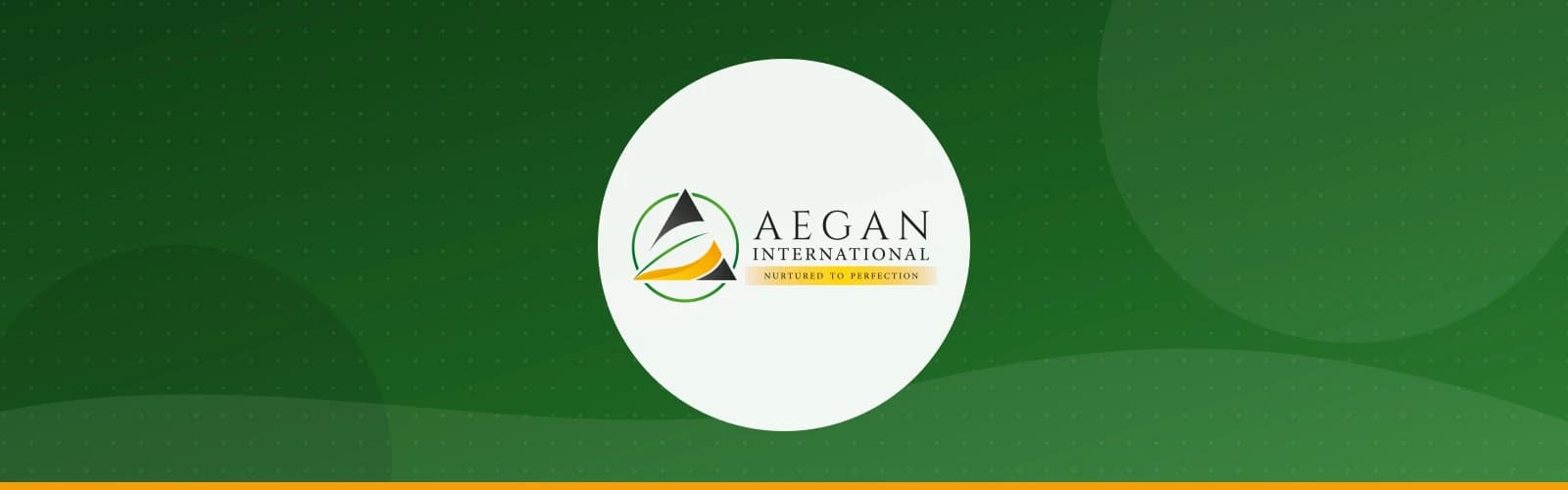 Aegan International DMCC