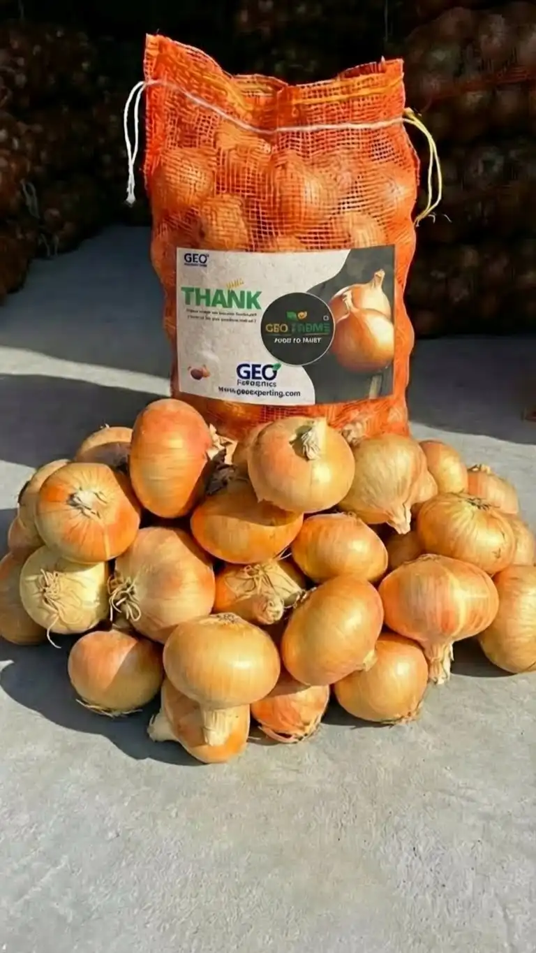 بصل ذهبي مصري