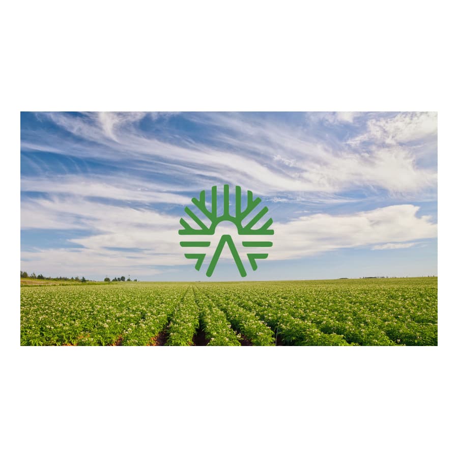 أصابع البطاطس المقرمشة