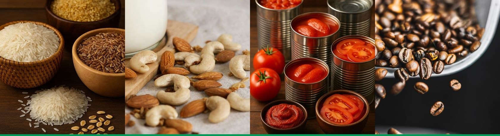 النجوم العالمية