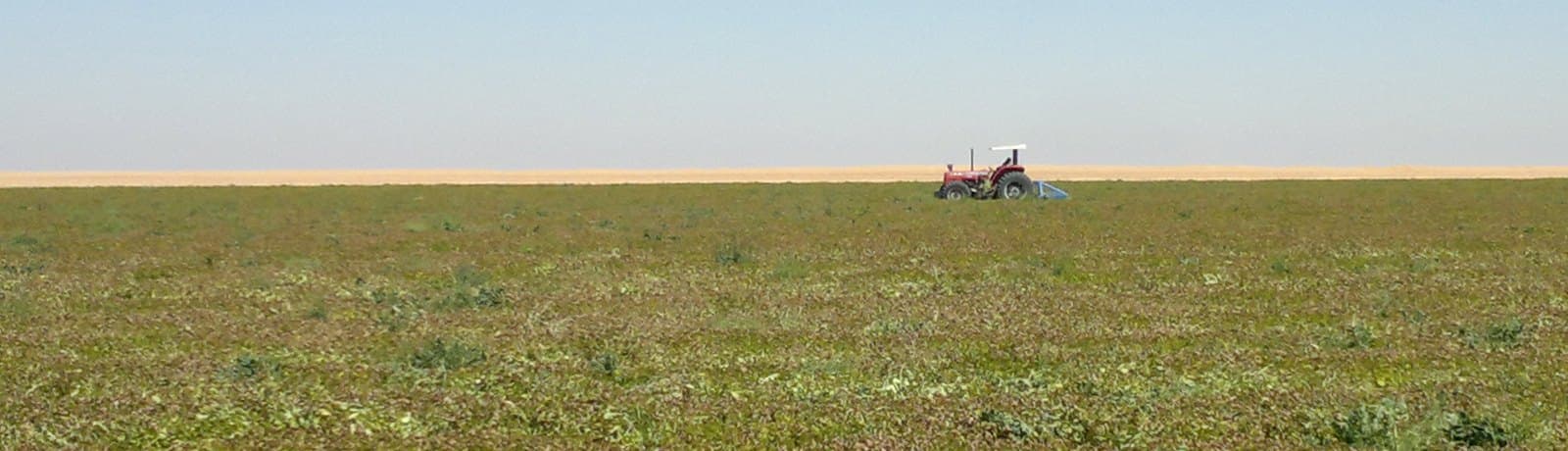 البستان للتعمير والتنمية الزراعية