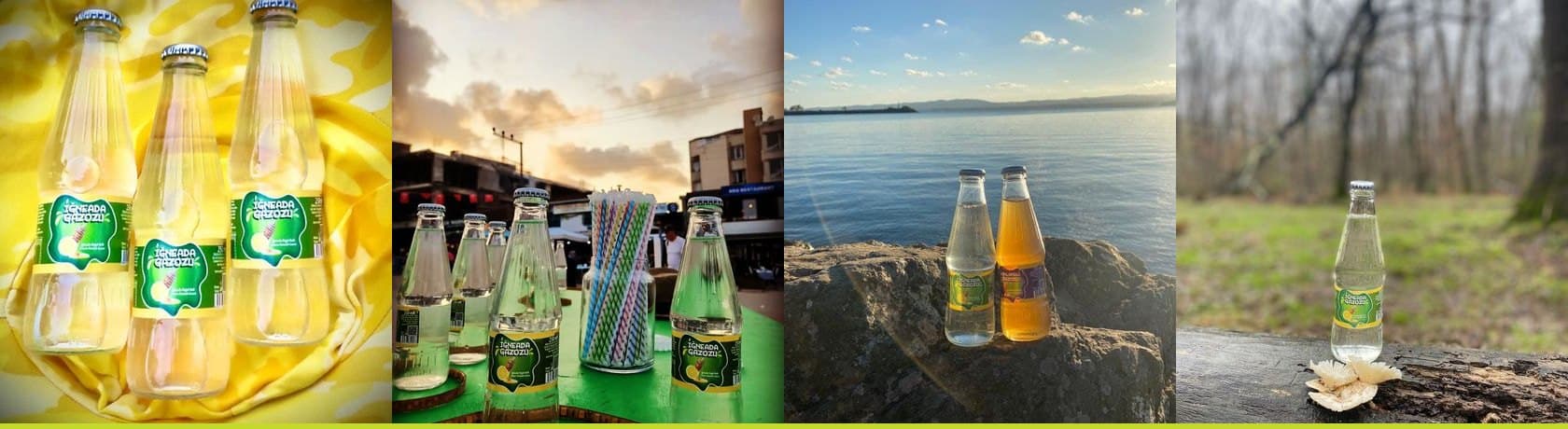 Bal Adası İğneada