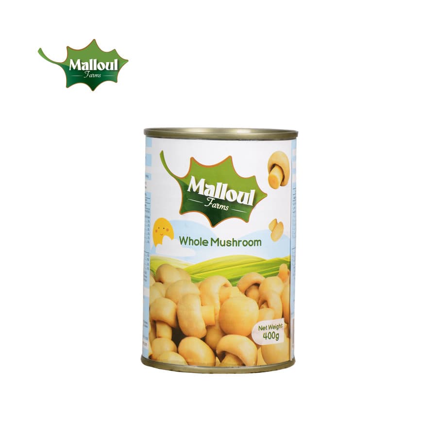 فطر كامل ملول