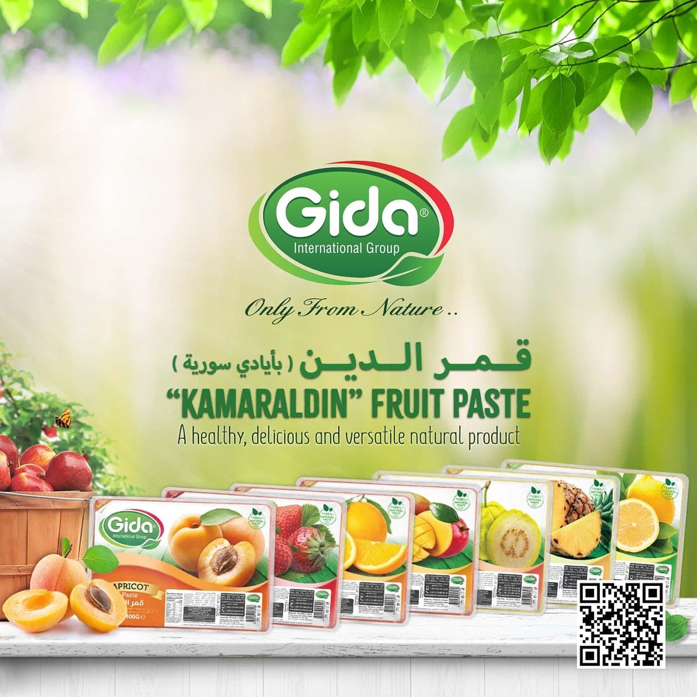 GIDA International Group