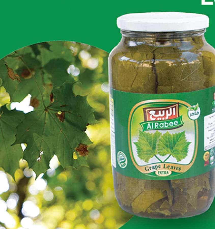صورة العرض