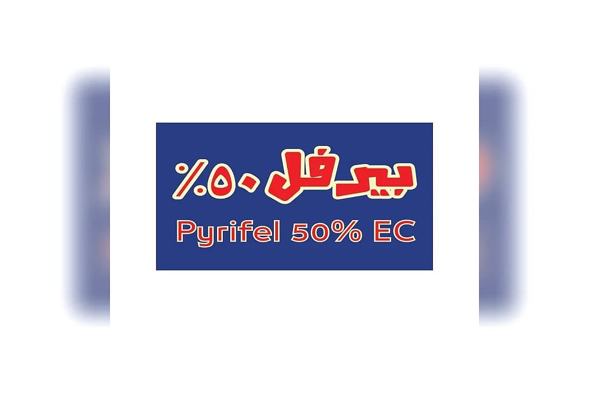 صورة العرض