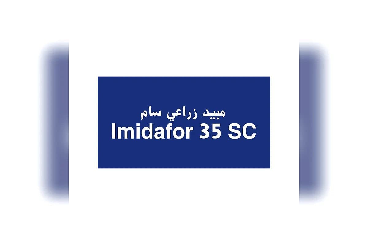 صورة العرض