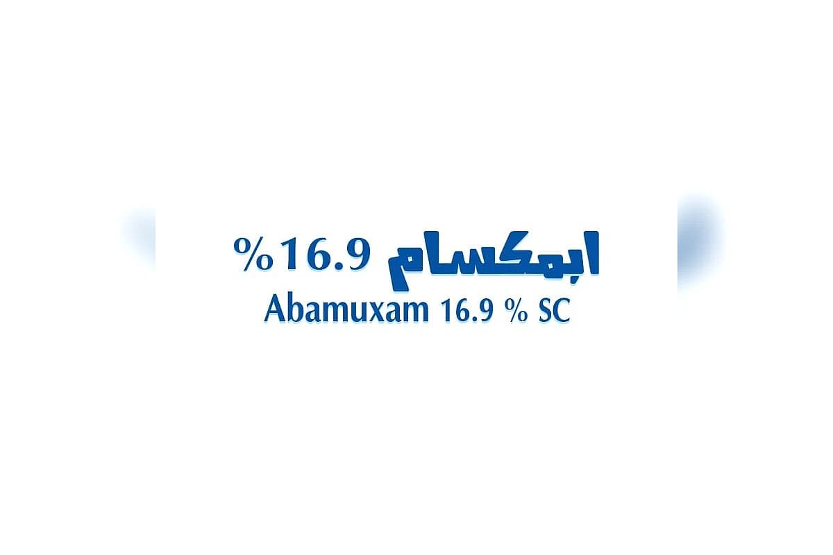 صورة العرض