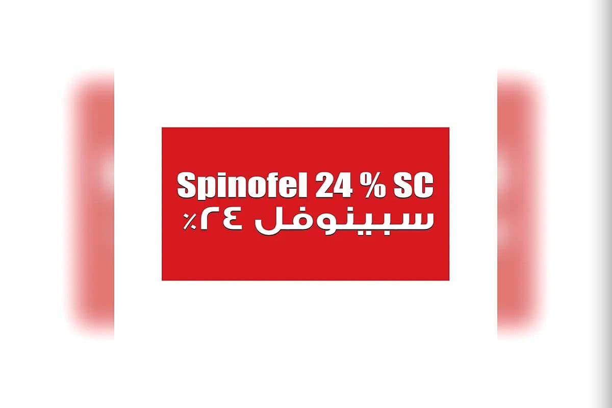 صورة العرض