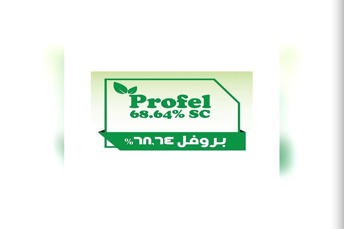صورة العرض