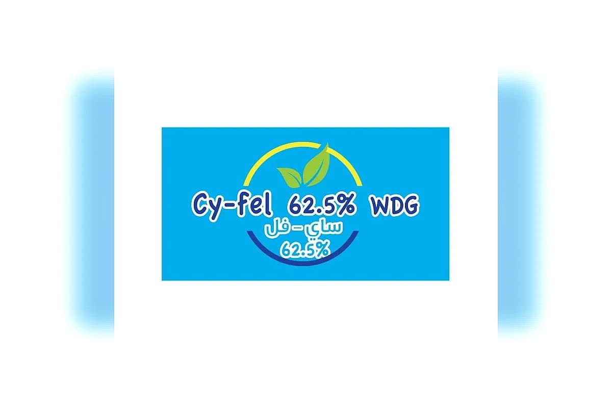 صورة العرض