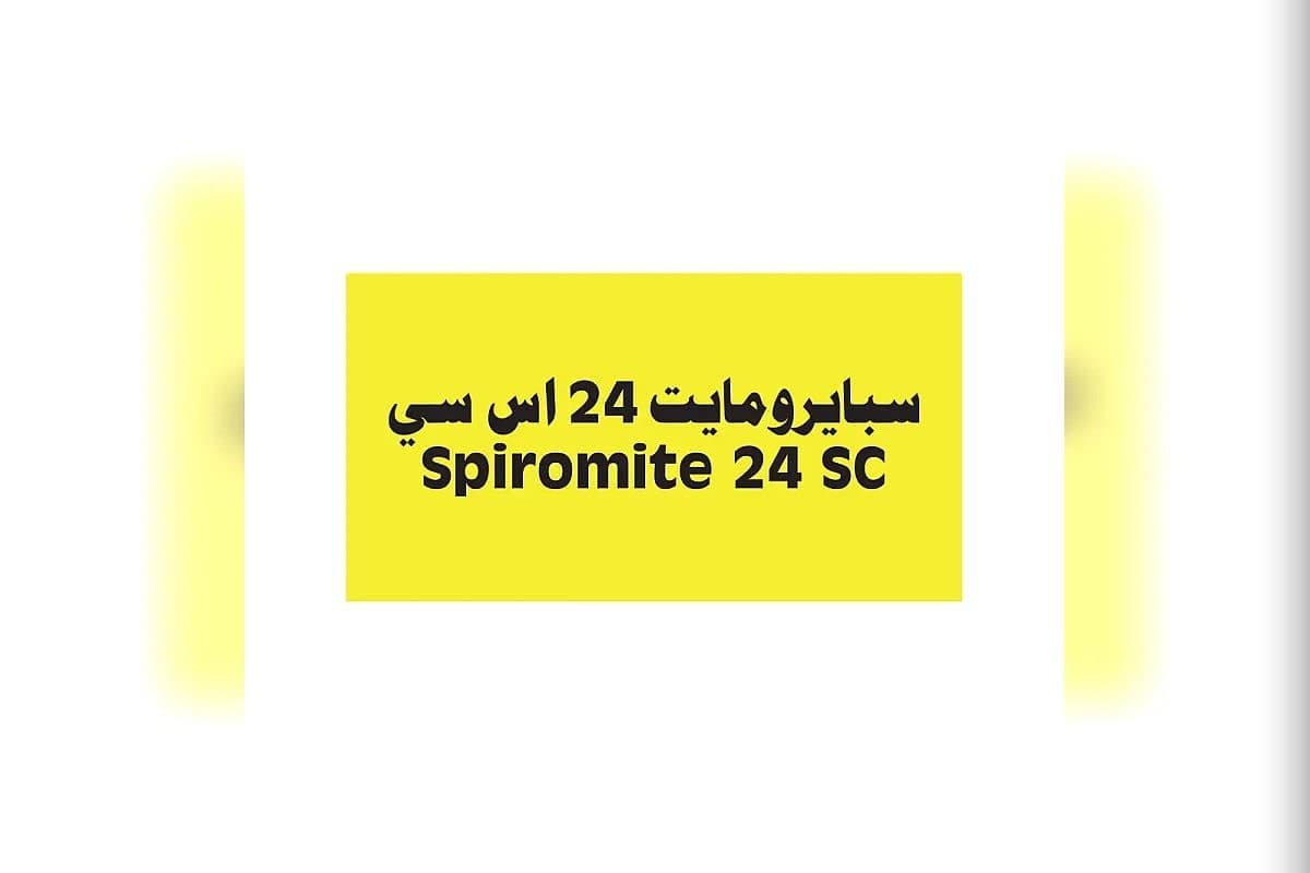 صورة العرض