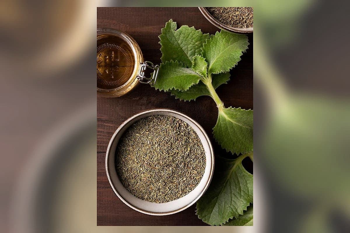 صورة العرض