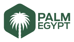 محطة بالم إيجيبت