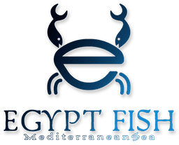 Egypt Fish for Food Industries