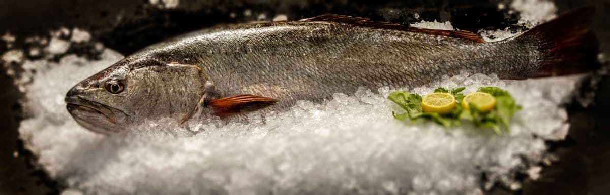 Egypt Fish for Food Industries