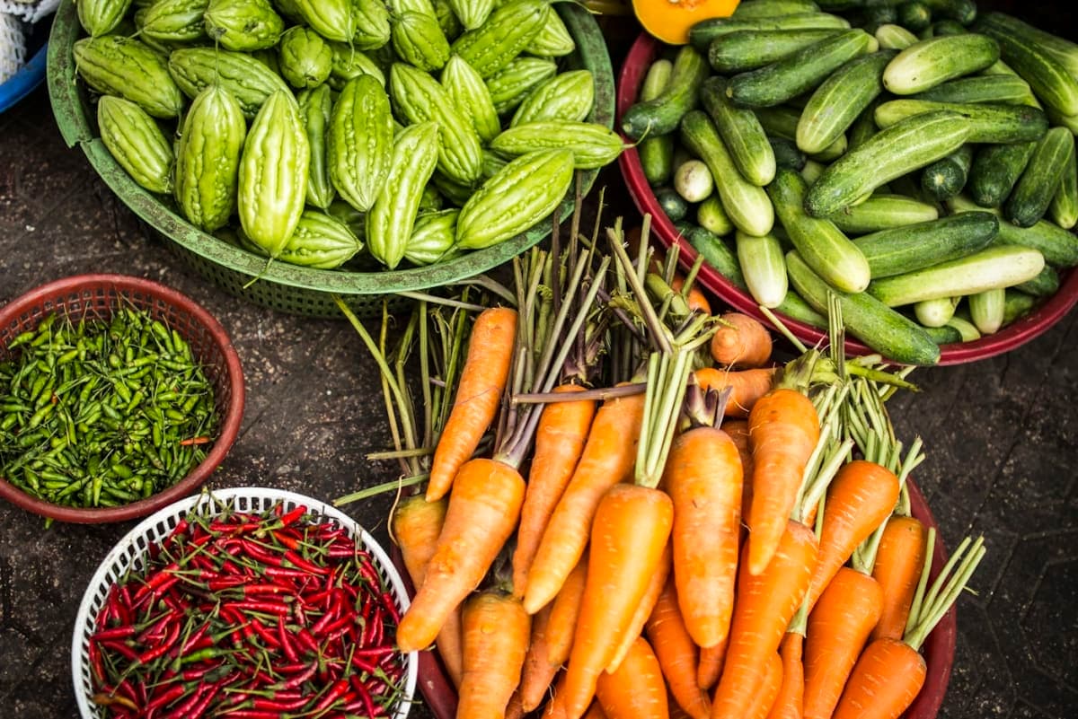 Agro Vegan