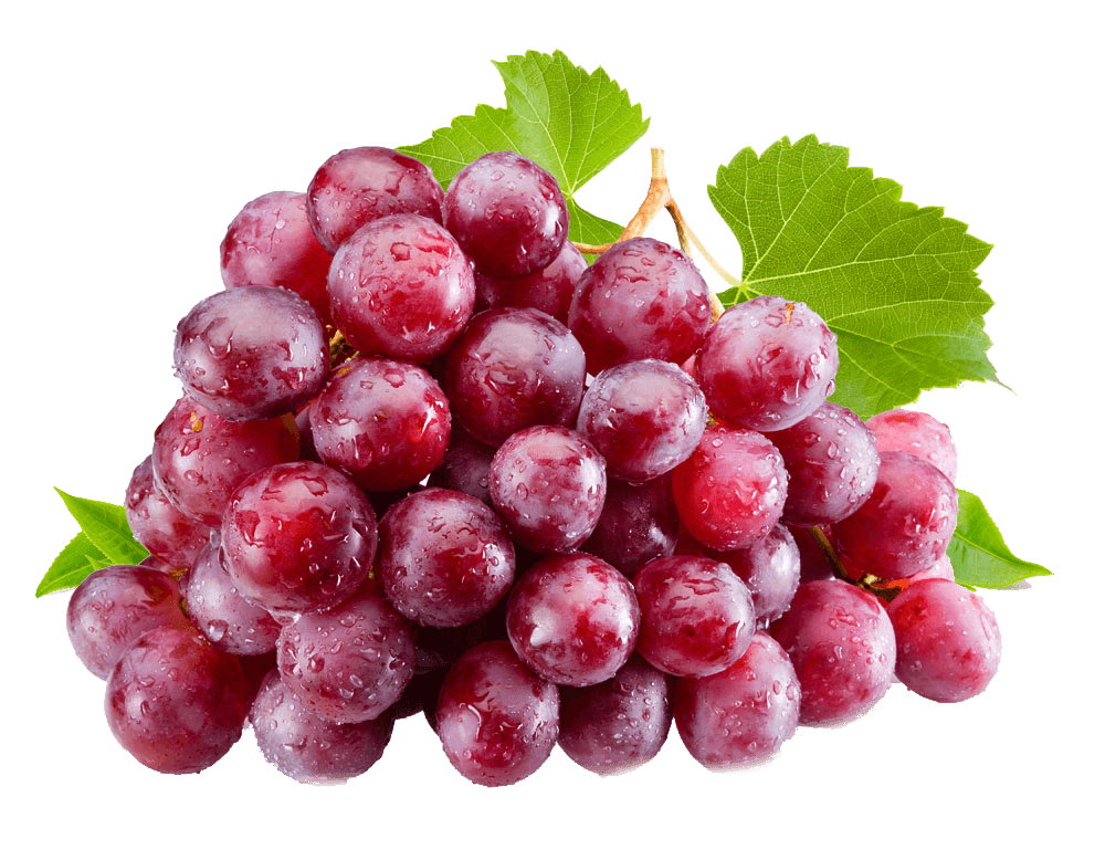 العنب