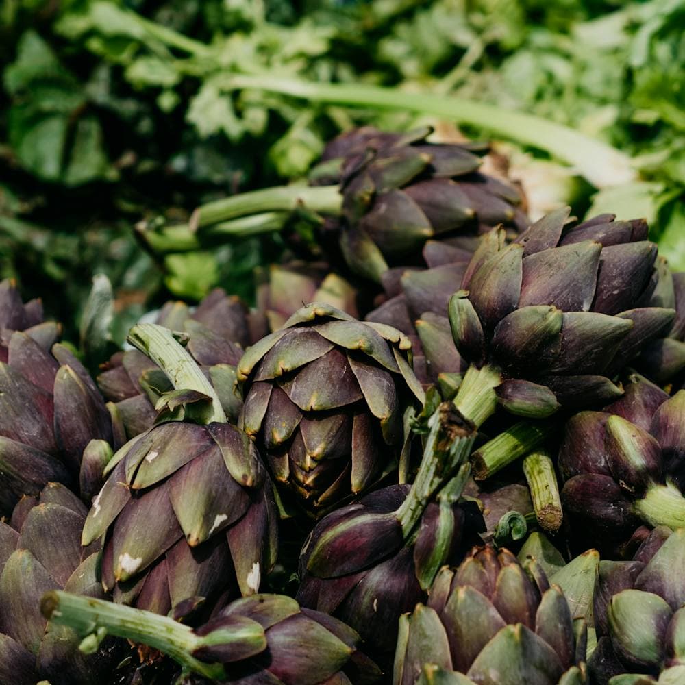 خرشوف