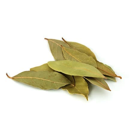 ورق الغار