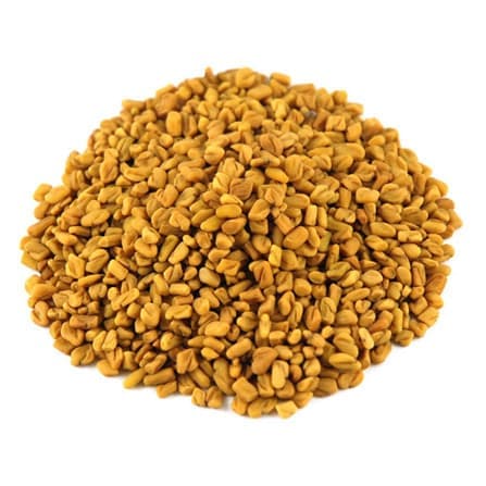 الحلبة