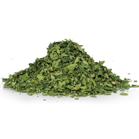 ورق المورينجا
