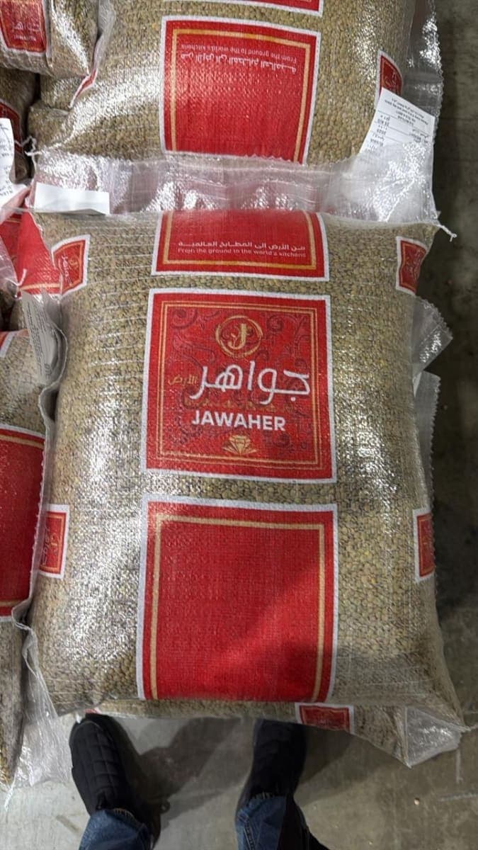 عدس أخضر