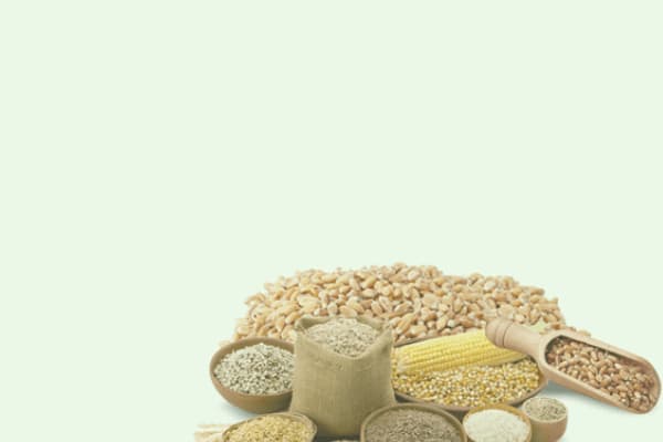 صورة العرض