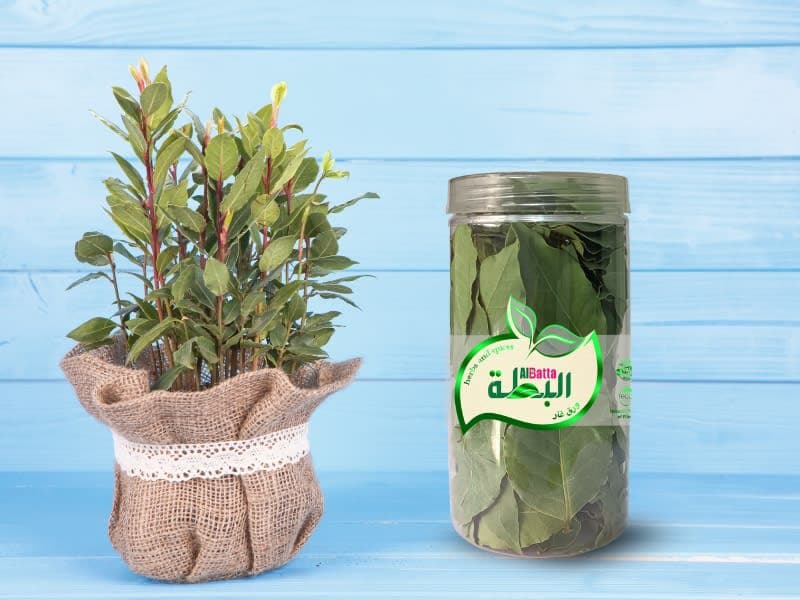 صورة العرض
