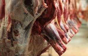 لحم بقر طازج مجزّر — تربية حرّة على العشب