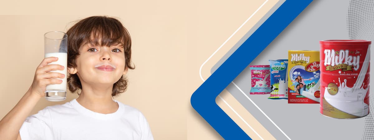 شركة إيه جي أي العالمية