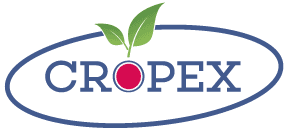 Kropx Export Filling Station